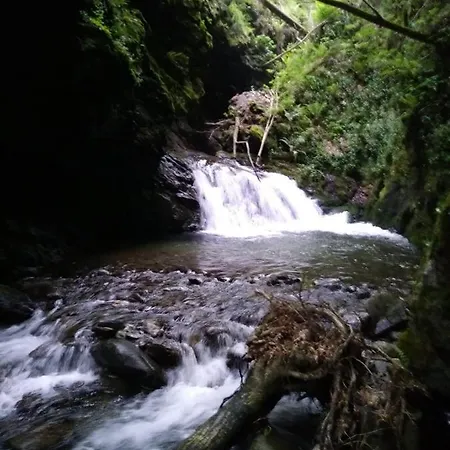 Couette-café Maison Gabe